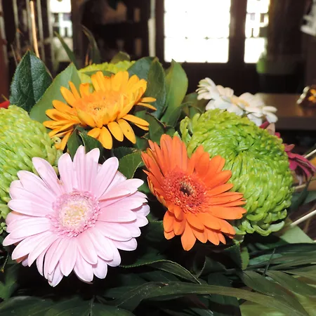 فندق Le Chantilly دوفييل