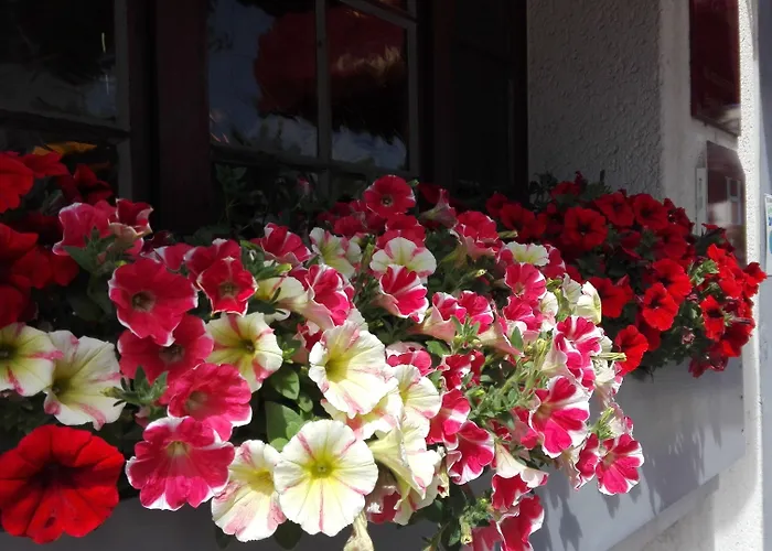 فندق Le Chantilly